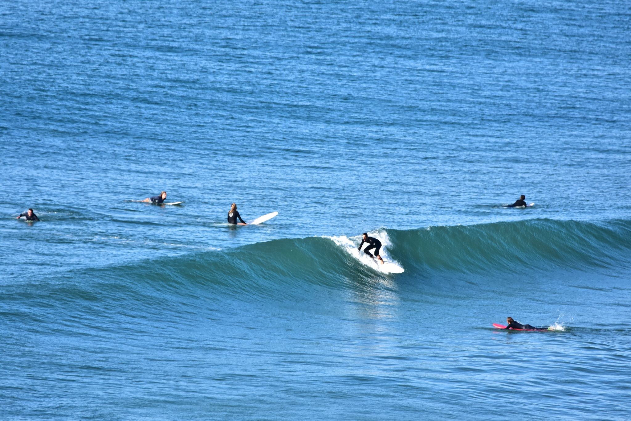 Vue aérienne du Surf Hostel Biarritz à Biarritz, en pleine nature dans les Landes